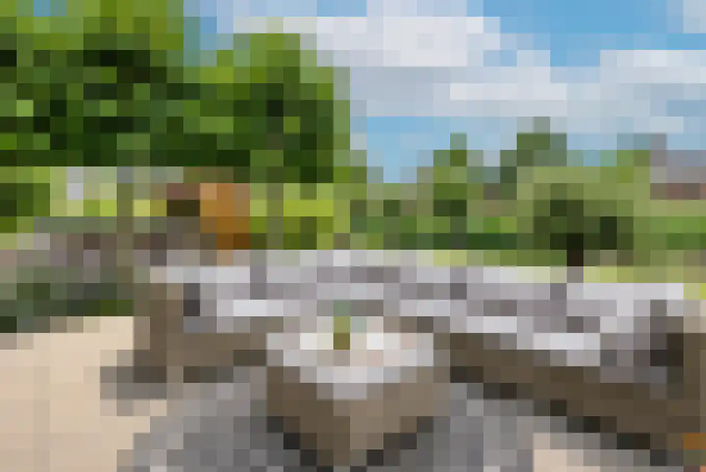 Nonnetje 1 Bergen op Zoom thumbnail 57
