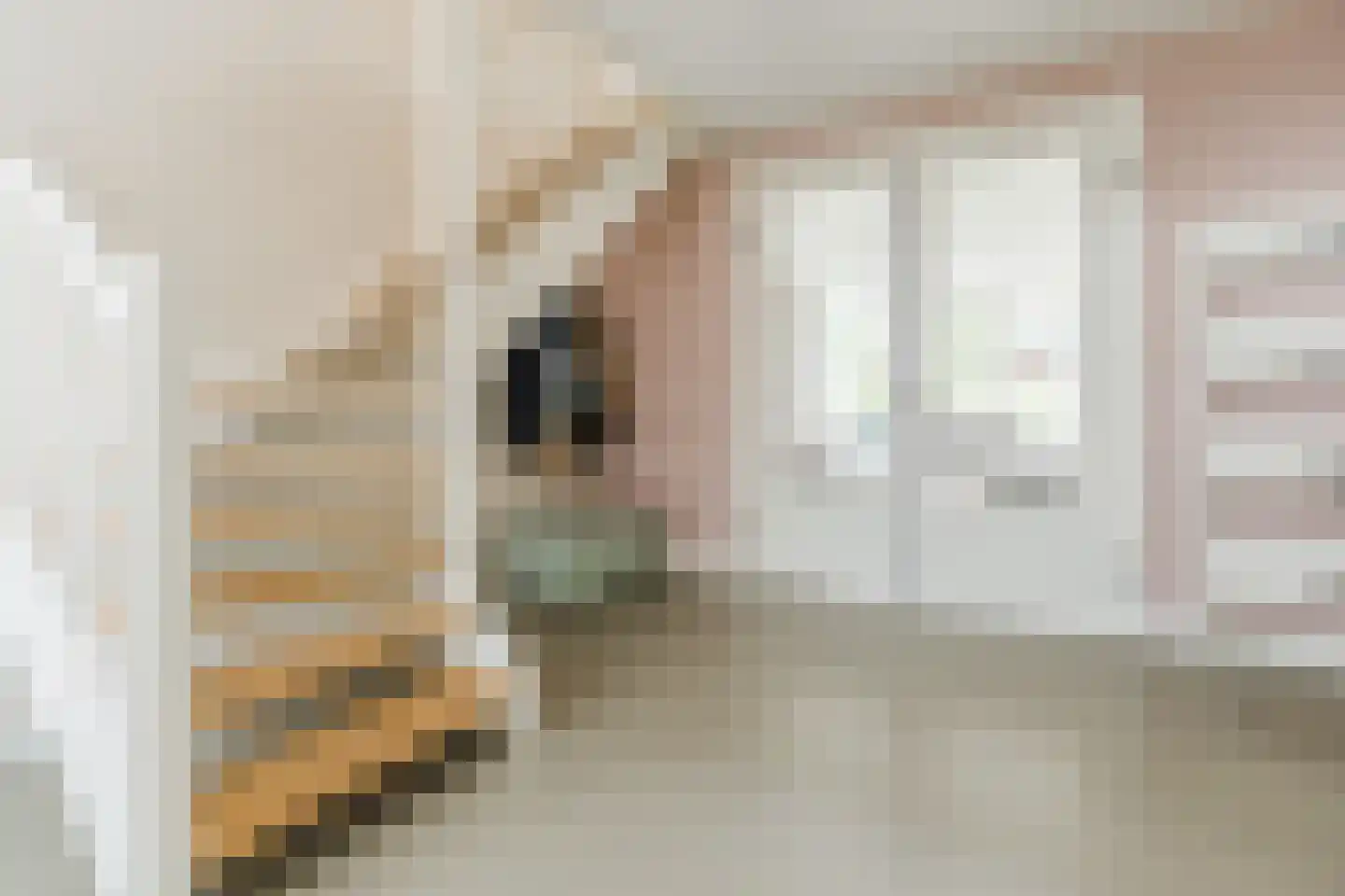 Nonnetje 1 Bergen op Zoom thumbnail 6