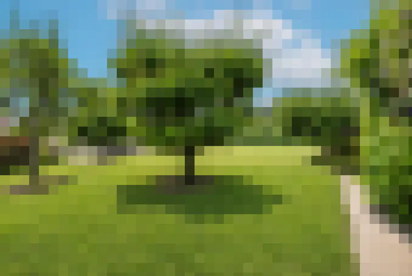 Nonnetje 1 Bergen op Zoom thumbnail 62