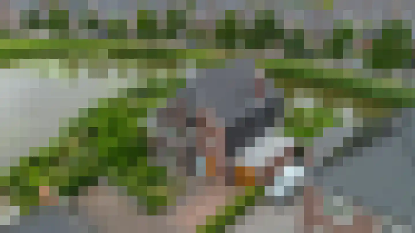 Nonnetje 1 Bergen op Zoom thumbnail 66