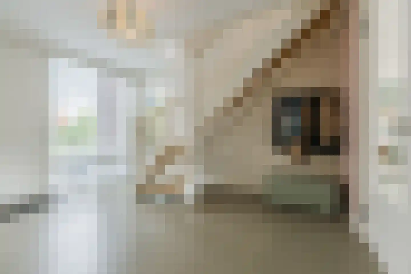 Nonnetje 1 Bergen op Zoom thumbnail 7