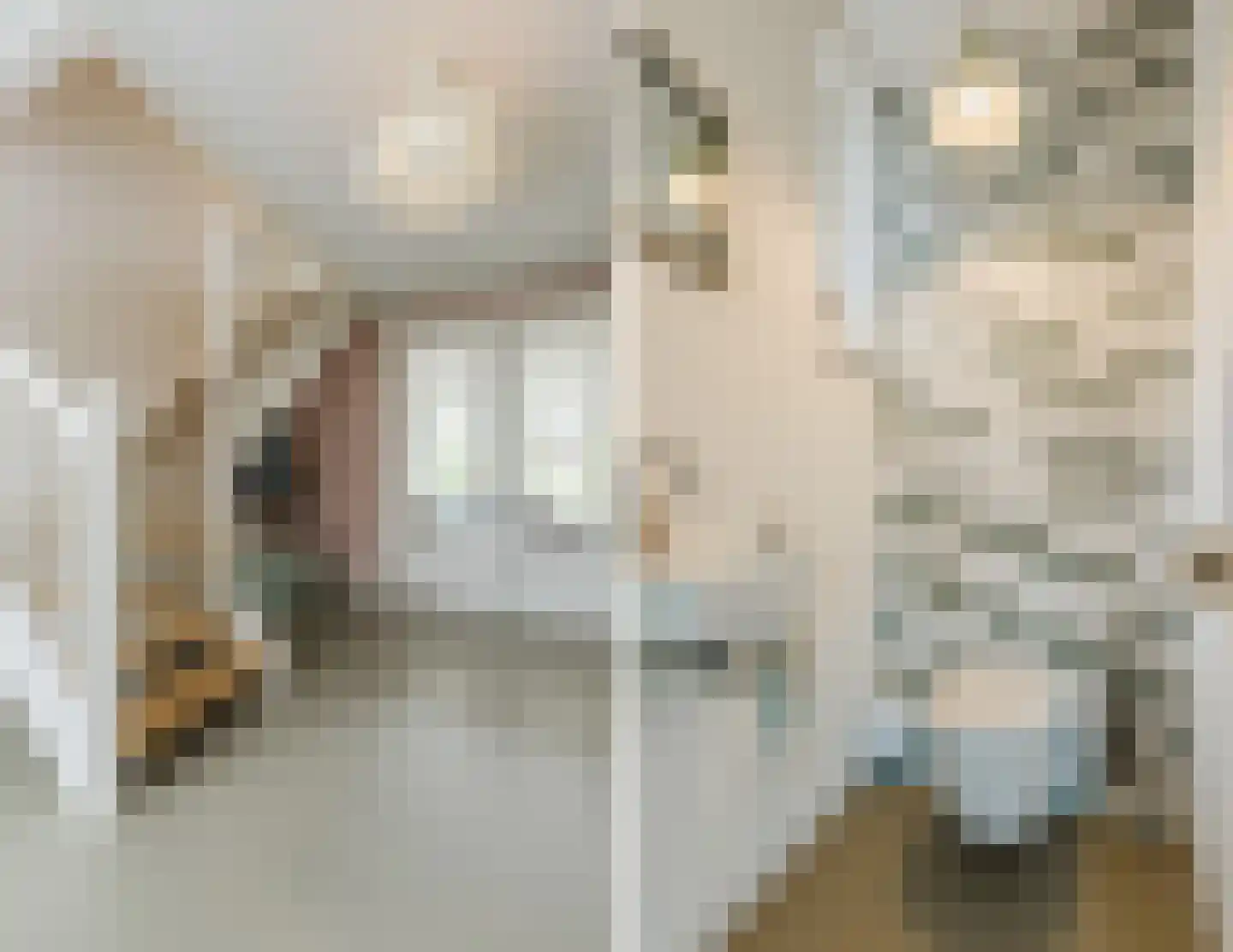 Nonnetje 1 Bergen op Zoom thumbnail 8
