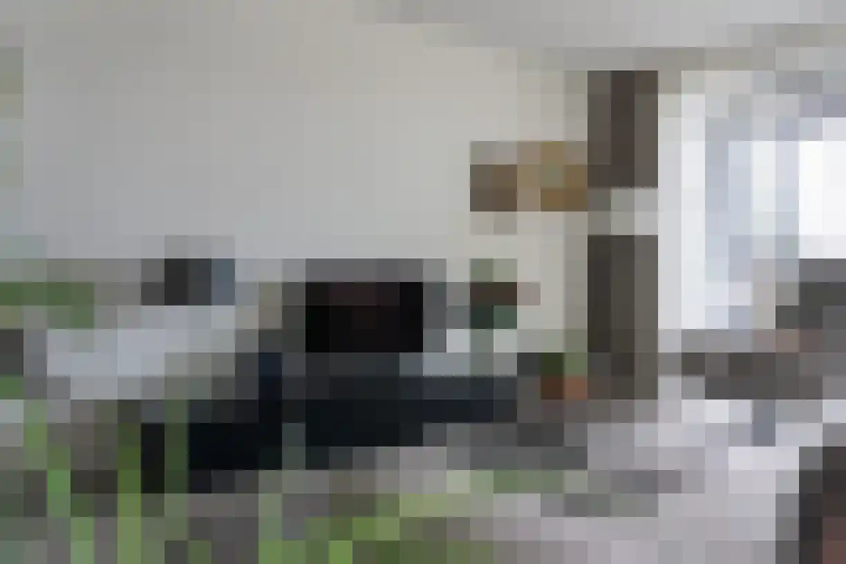Nonnetje 27 Bergen op Zoom thumbnail 10