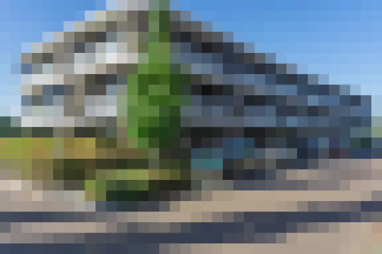 Nonnetje 27 Bergen op Zoom thumbnail 30