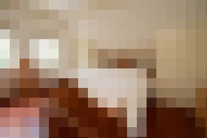 Noodweg 33 Hilversum thumbnail 17
