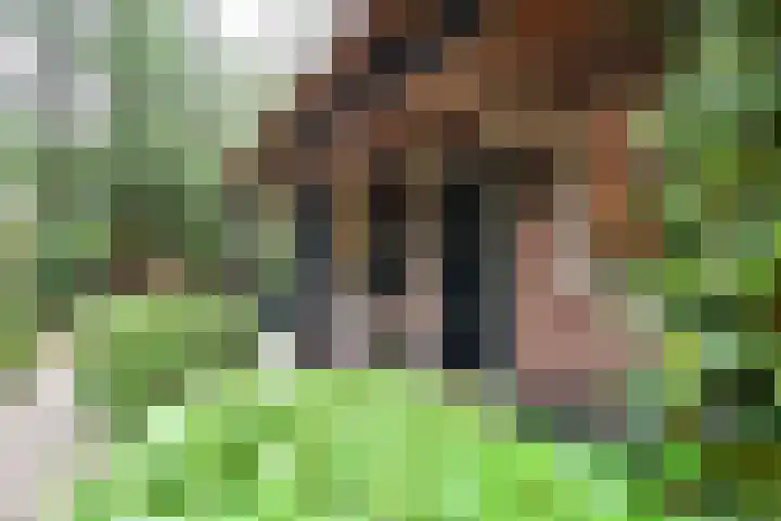 Noodweg 33 Hilversum thumbnail 21