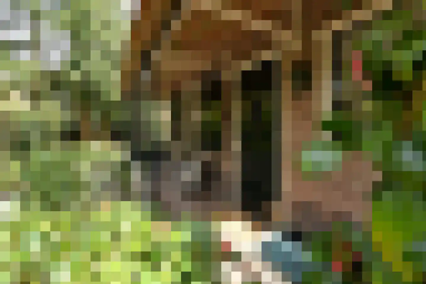 Noodweg 33 Hilversum thumbnail 23