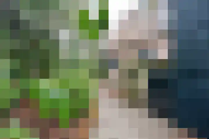 Noodweg 33 Hilversum thumbnail 30