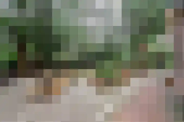 Noodweg 33 Hilversum thumbnail 31