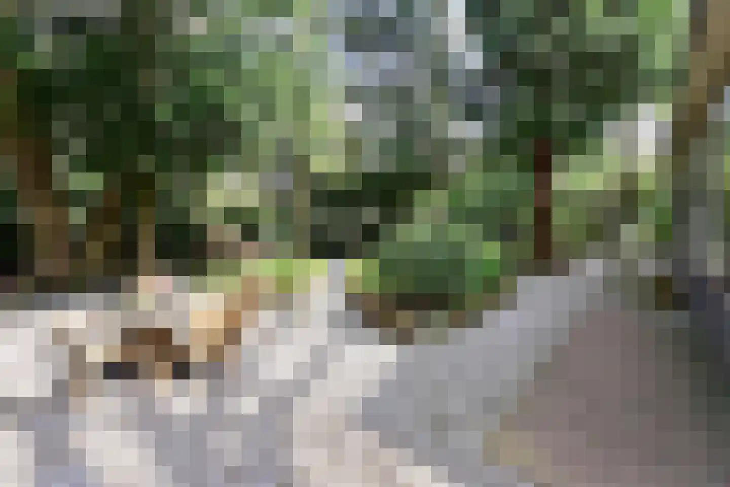 Noodweg 33 Hilversum thumbnail 32