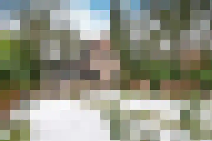 Noodweg 33 Hilversum thumbnail 34