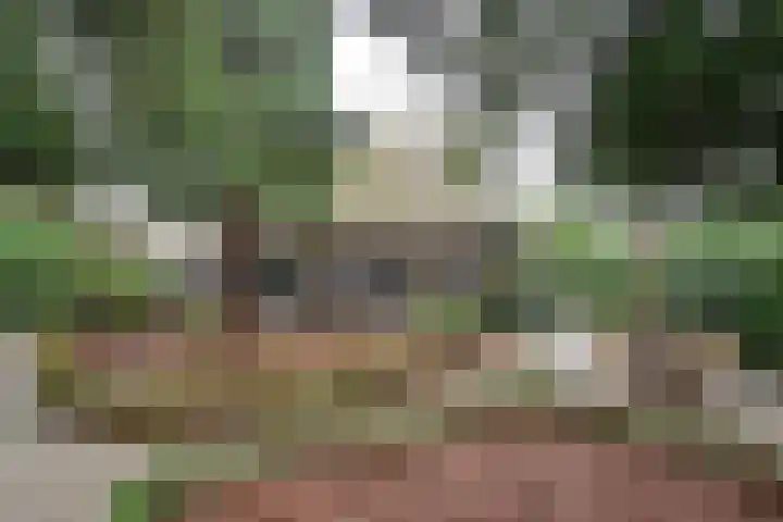 Noodweg 33 Hilversum thumbnail 35