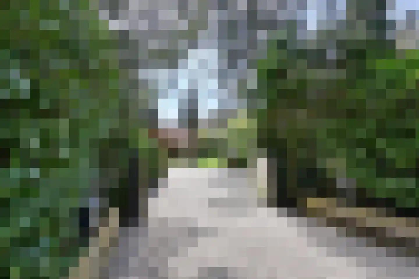 Noodweg 33 Hilversum thumbnail 37