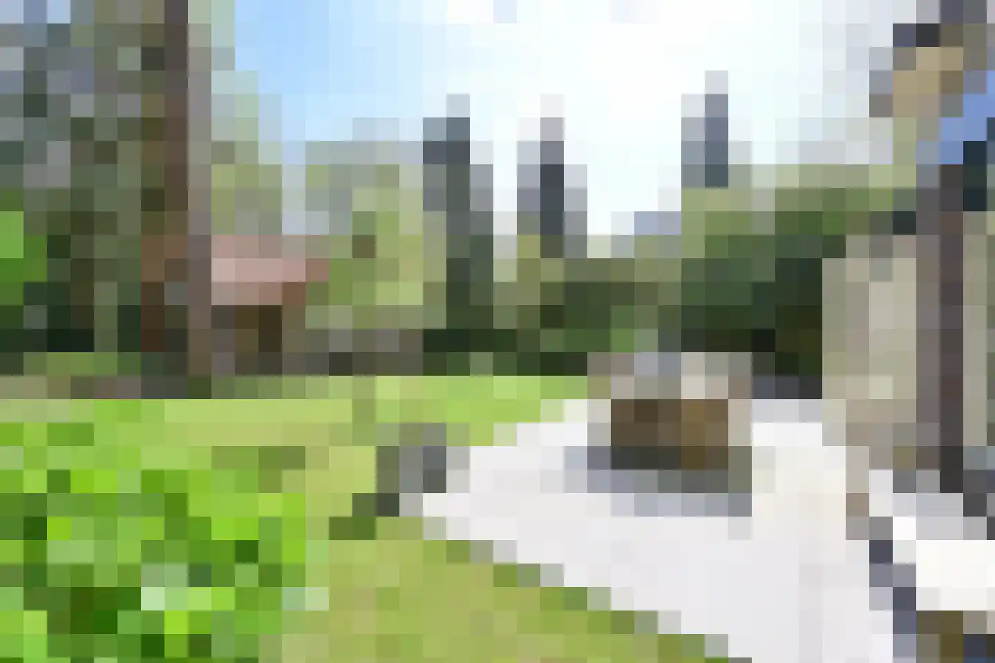 Noodweg 33 Hilversum thumbnail 4