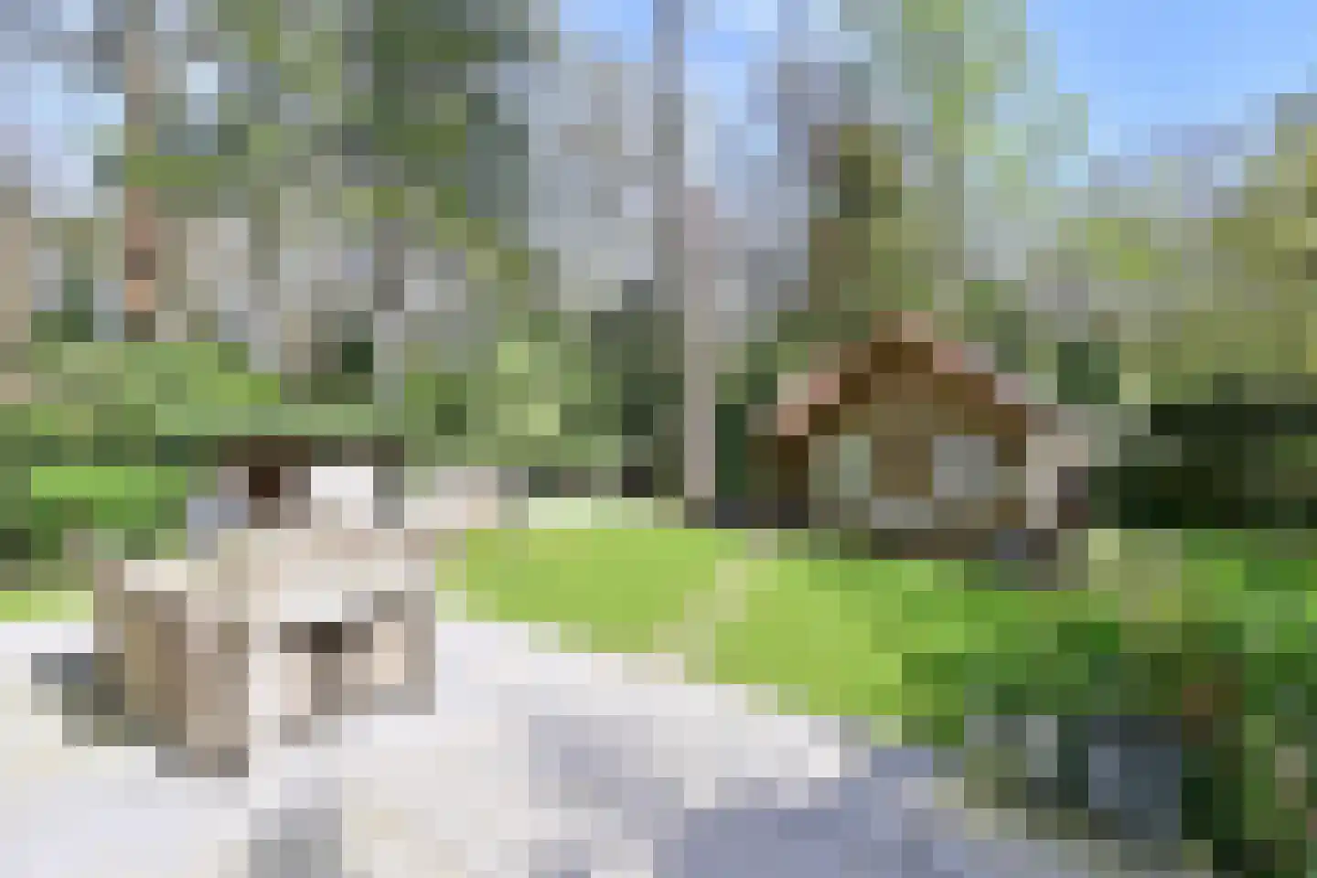 Noodweg 33 Hilversum thumbnail 5