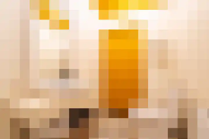 Noodweg 4 Groningen thumbnail 37
