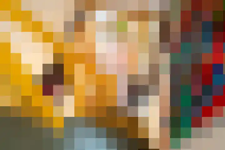Noodweg 4 Groningen thumbnail 40