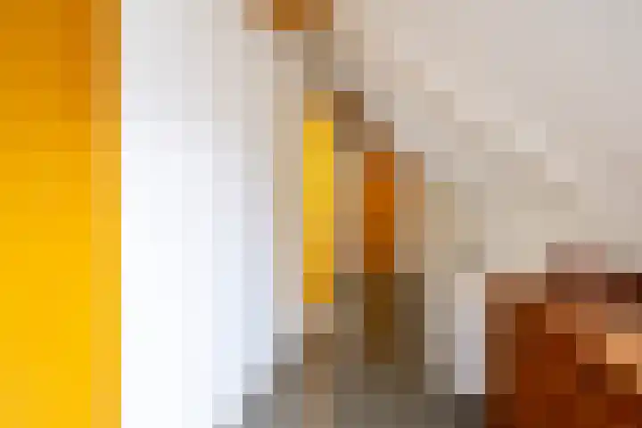 Noodweg 4 Groningen thumbnail 41