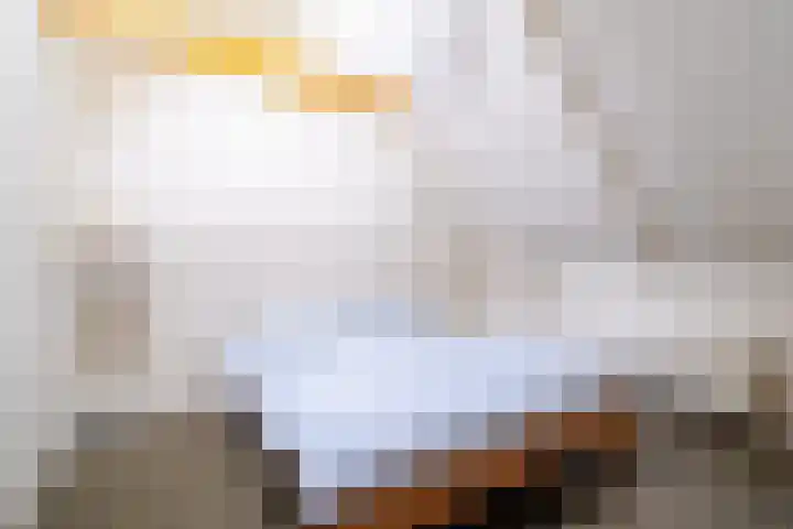 Noodweg 4 Groningen thumbnail 42
