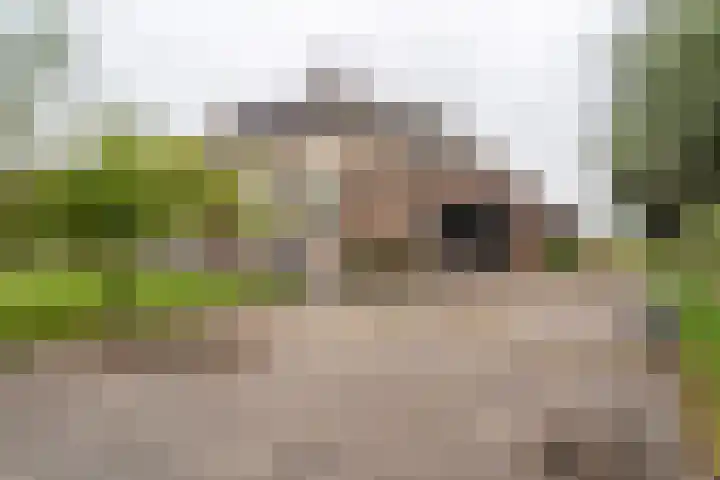 Noodweg 4 Groningen thumbnail 55