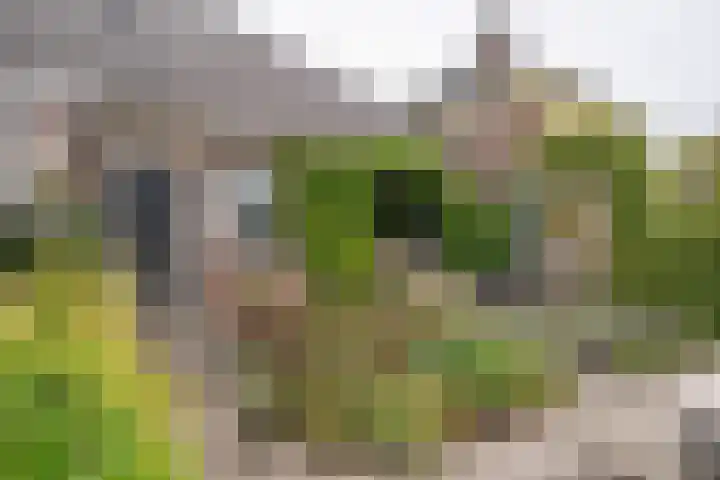 Noodweg 4 Groningen thumbnail 60