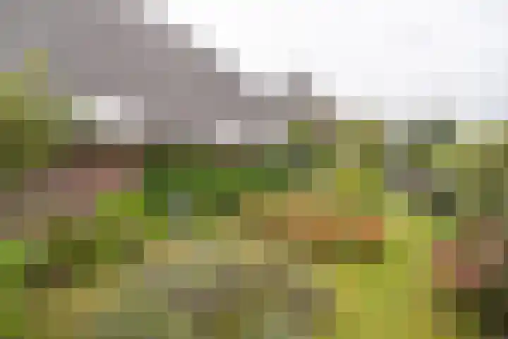 Noodweg 4 Groningen thumbnail 62