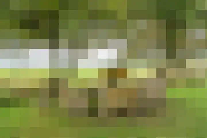 Noodweg 4 Groningen thumbnail 64