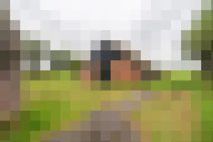 Noodweg 4 Groningen thumbnail 66