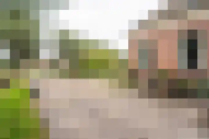 Noodweg 4 Groningen thumbnail 67