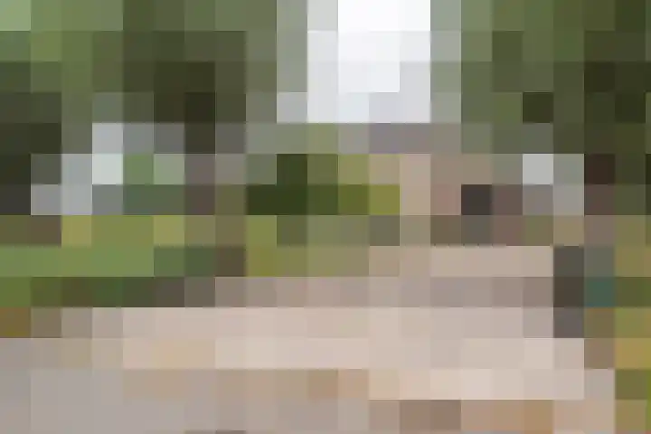 Noodweg 4 Groningen thumbnail 69