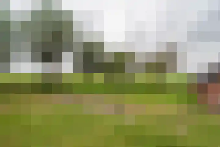 Noodweg 4 Groningen thumbnail 70