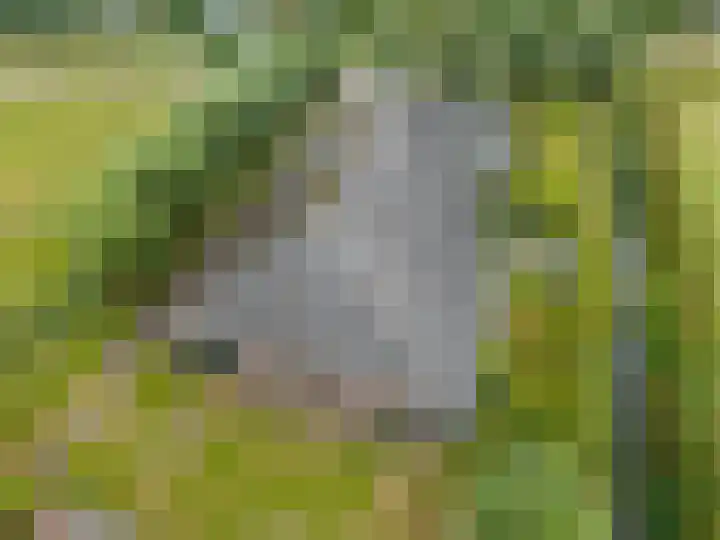 Noodweg 4 Groningen thumbnail 71