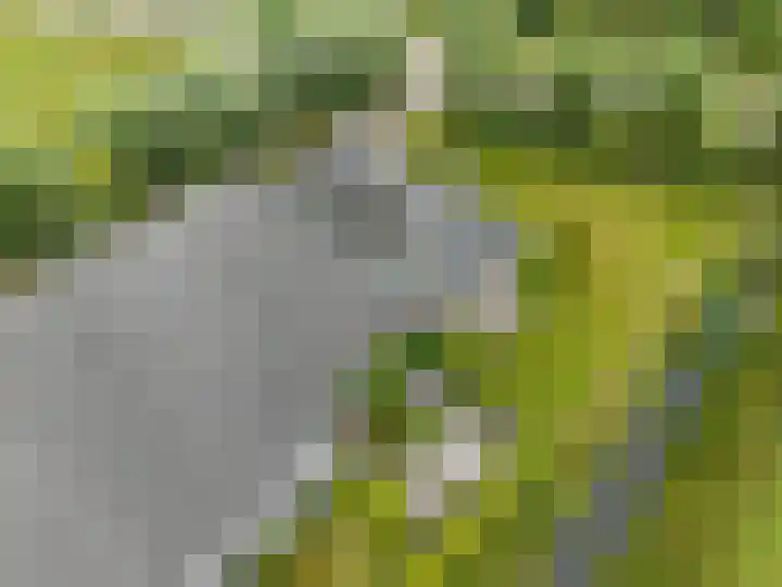 Noodweg 4 Groningen thumbnail 72