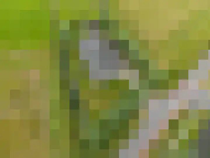 Noodweg 4 Groningen thumbnail 73