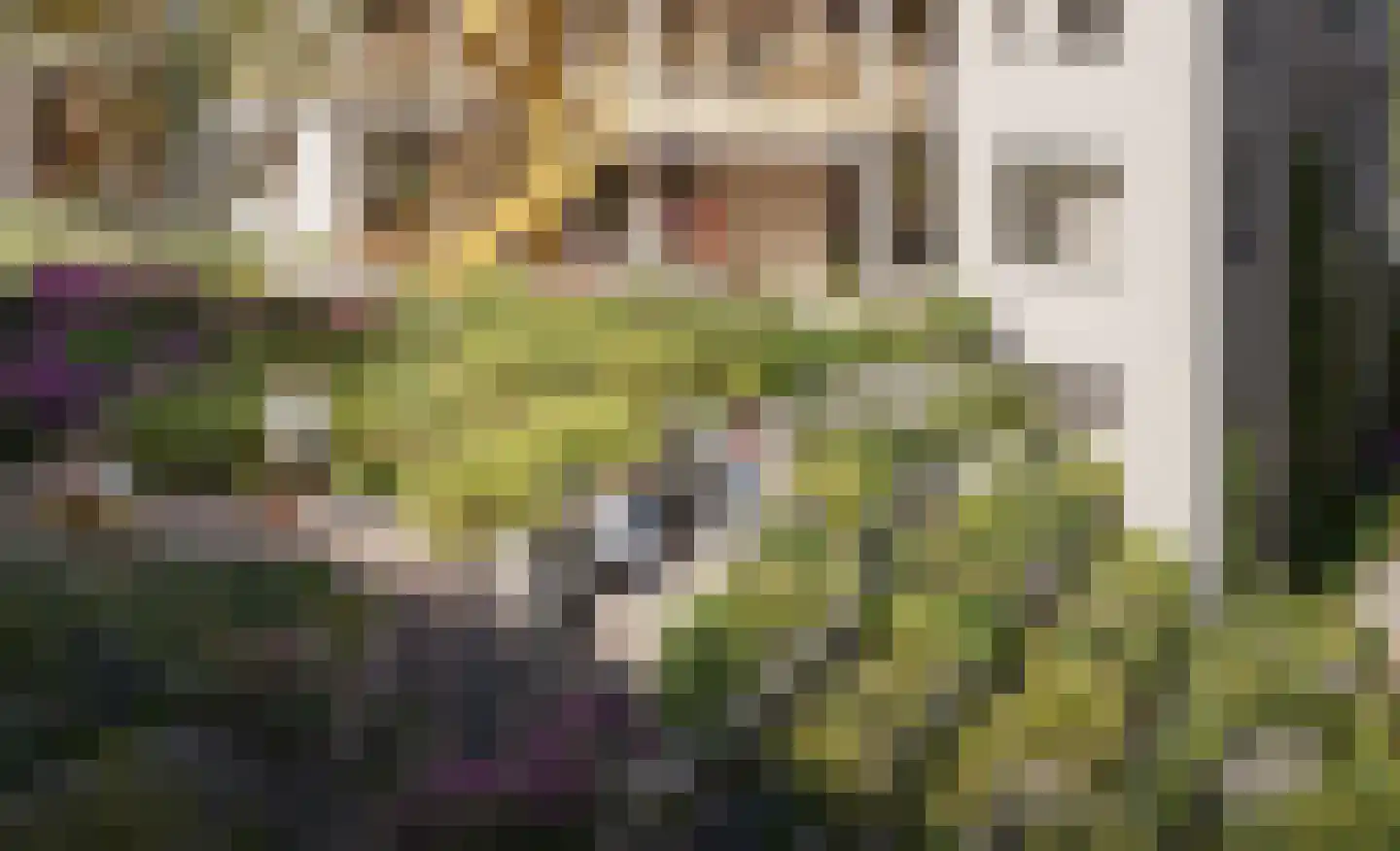 Nooit Dorstraat 224 Amsterdam thumbnail 4