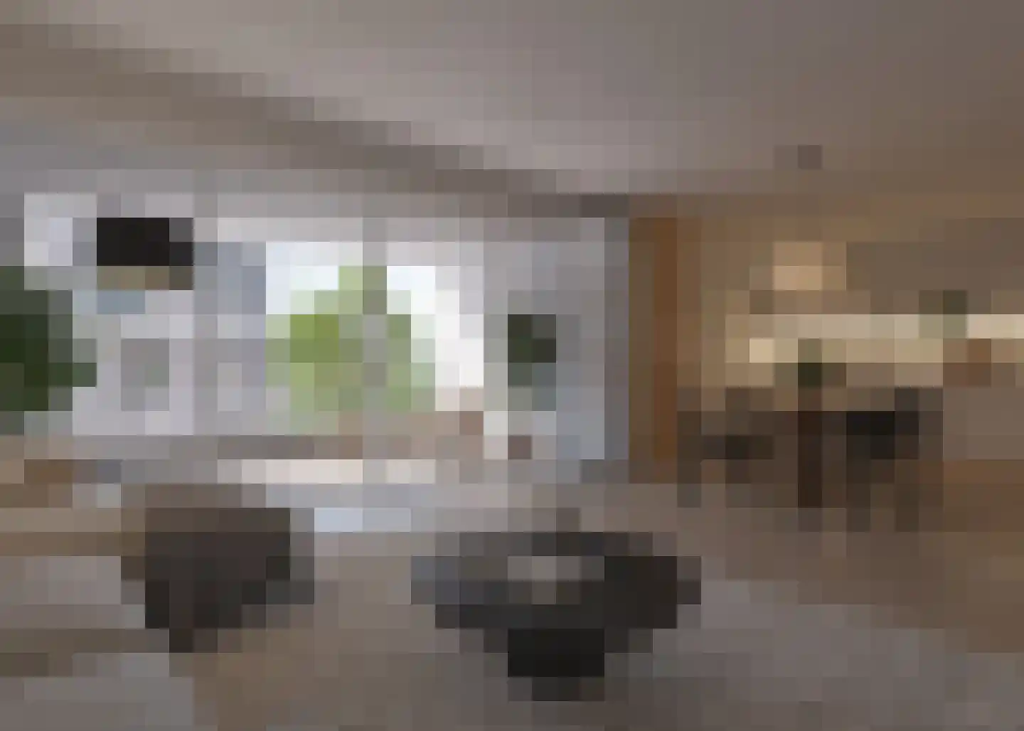 Nooit Dorstraat 224 Amsterdam thumbnail 6