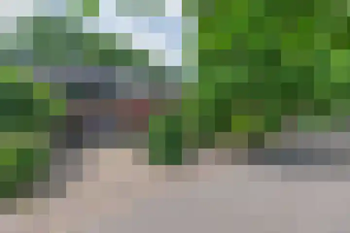 Nooit Gedacht 84 Muiden