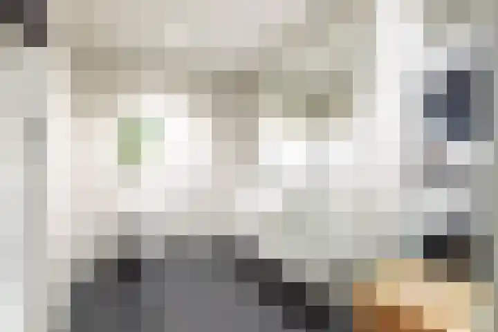 Nooit Gedacht 84 Muiden thumbnail 10