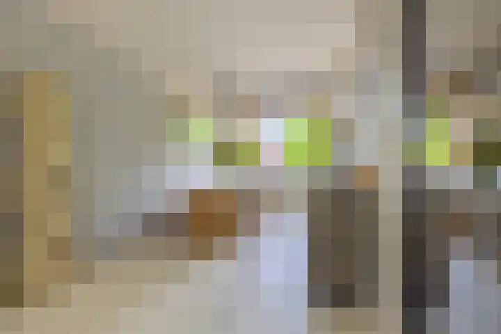 Nooit Gedacht 84 Muiden thumbnail 18