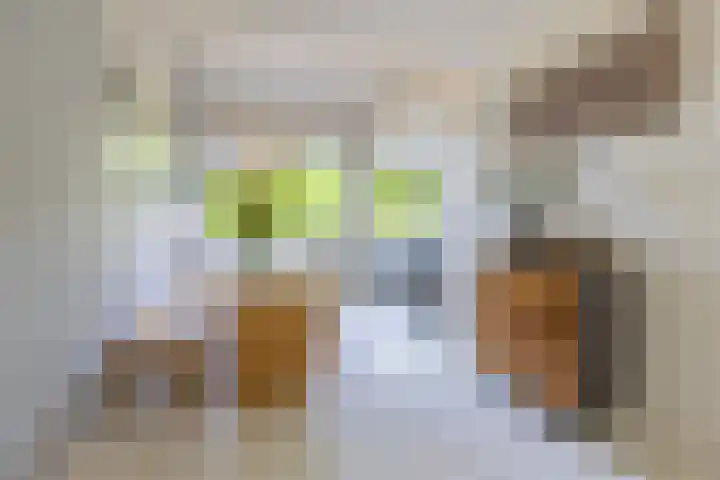 Nooit Gedacht 84 Muiden thumbnail 19