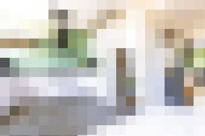 Nooit Gedacht 84 Muiden thumbnail 21