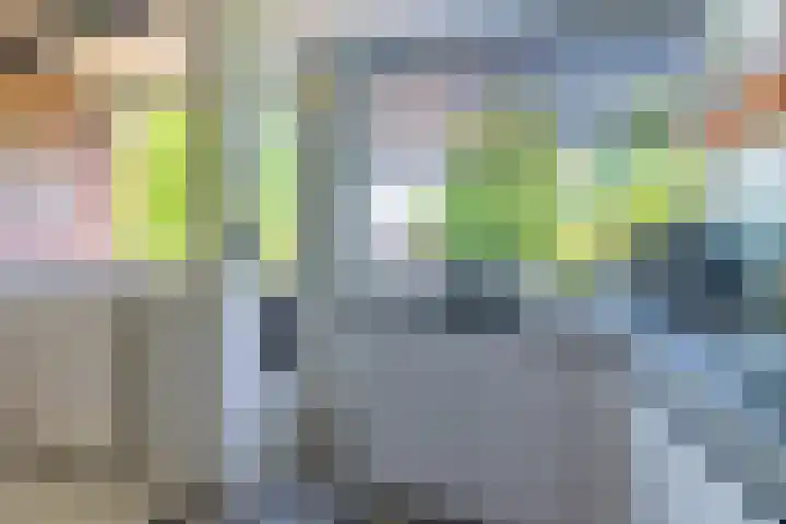 Nooit Gedacht 84 Muiden thumbnail 23