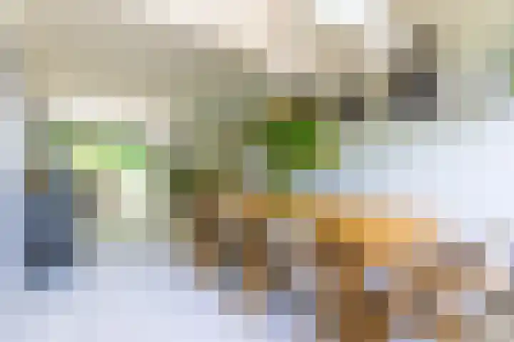 Nooit Gedacht 84 Muiden thumbnail 24