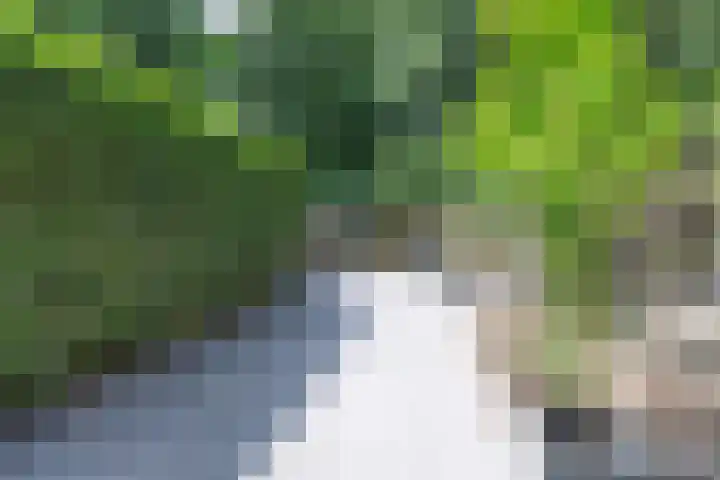 Nooit Gedacht 84 Muiden foto 3