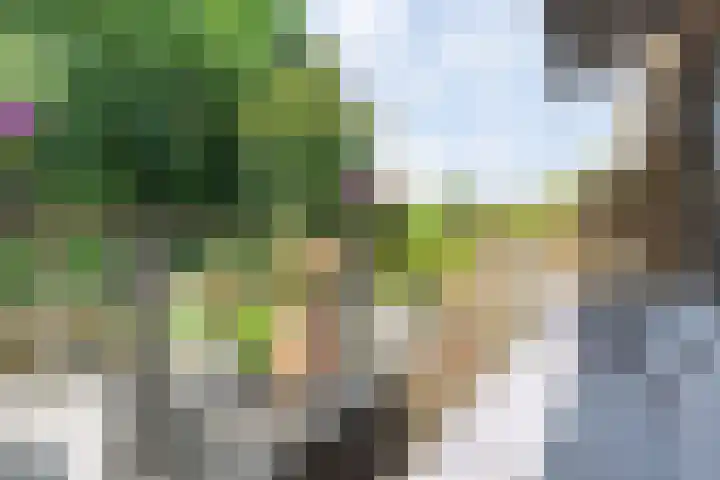 Nooit Gedacht 84 Muiden thumbnail 30
