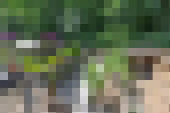 Nooit Gedacht 84 Muiden thumbnail 31
