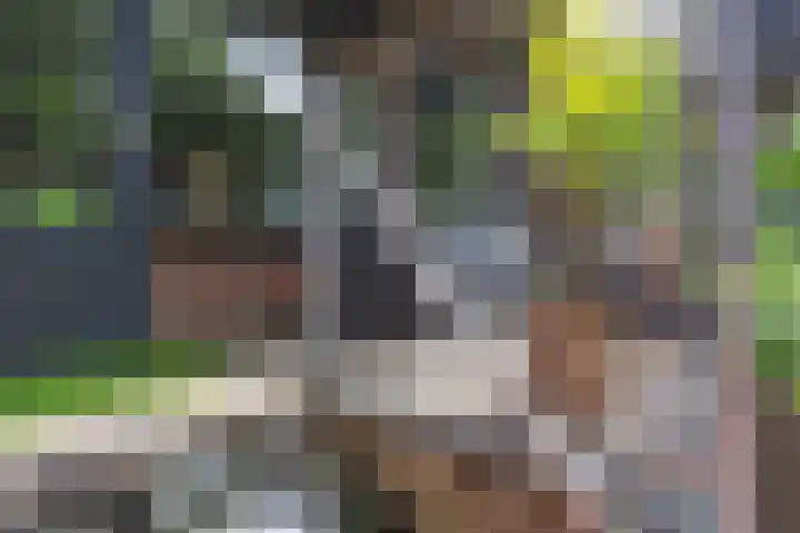 Nooit Gedacht 84 Muiden thumbnail 32