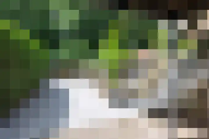 Nooit Gedacht 84 Muiden thumbnail 33