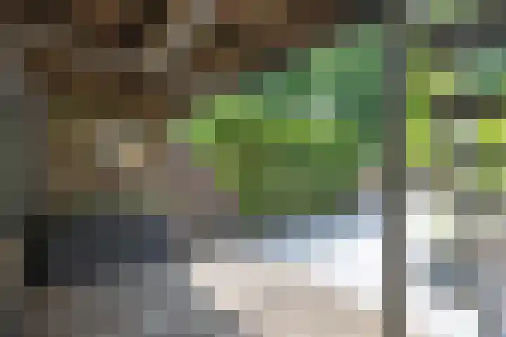 Nooit Gedacht 84 Muiden thumbnail 34
