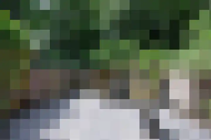 Nooit Gedacht 84 Muiden thumbnail 35